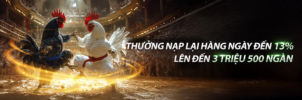 Sân vận động với trận đấu thể thao sôi động, logo 888new code